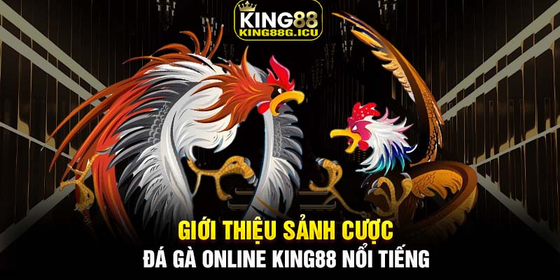 Giới thiệu sảnh cược đá gà online King88 nổi tiếng